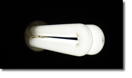 bulb